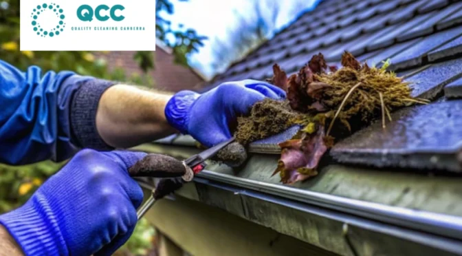How Does Roof Gutter Cleaning Help Prevent Pest Infestations?